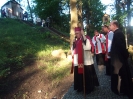 Odpust Kalwaryjski, 3 lipca 2016 r._60