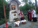Odpust Kalwaryjski, 3 lipca 2016 r._86