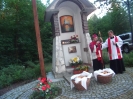 Odpust Kalwaryjski, 3 lipca 2016 r._87