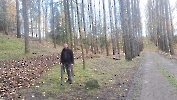 Jesienne porządki na Kalwarii, paźdzernik - listopad 2025_54
