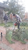 Prace przy dekoracji bożonarodzeniowej, 17.12.2025_49