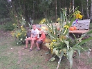 Przygotowania do dożynek, sierpień 2026_38