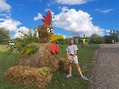Przygotowania do dożynek, sierpień 2026_53