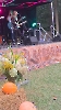 Dożynki parafialne, 31.08.2025_288